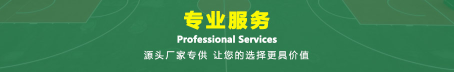 專(zhuān)業(yè)服務(wù)